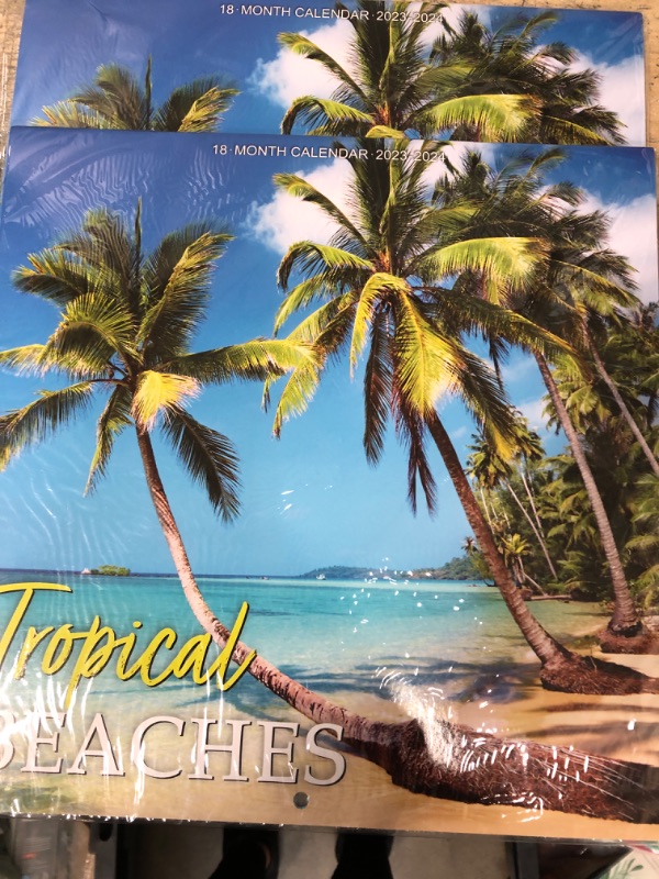 Photo 2 of Calendar 2023-2024 - Wall Calendar 2023-2024, 18-Month Wall Calendar 2023, Jan. 2023 -Jun. 2024, 12" x 24" (Open), Unruled Blocks with Thick Paper - Coconut Tree Sky Blue