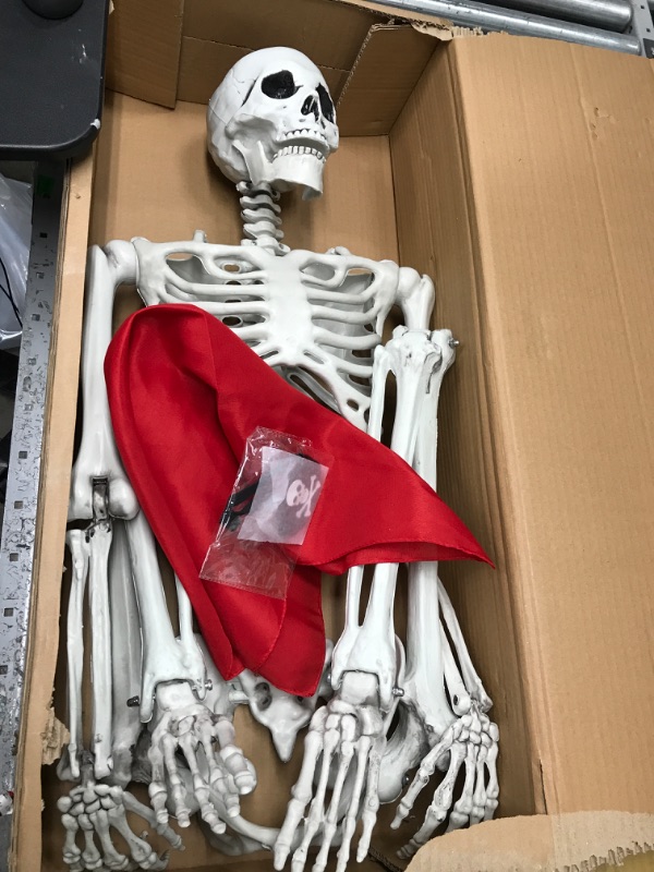Photo 1 of JOYIN 5 ft Pose-N-Stay Life Size Skeleton Full Body Realistic Human Bones with Posable Joints for Halloween Pose Skeleton Prop Decoration