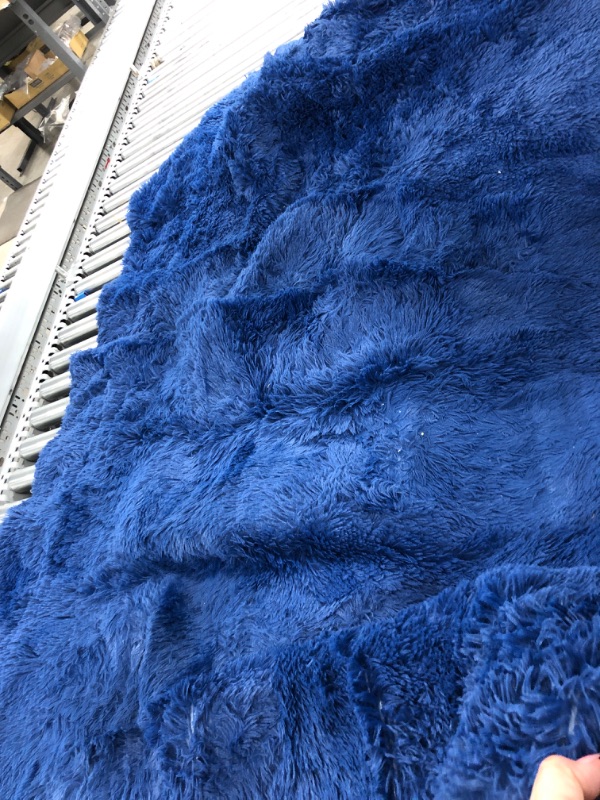 Photo 1 of *** USED *** BLUE RUG SIZE UNKNOWN