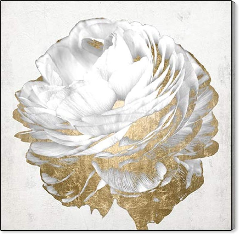 Photo 1 of 24X24 INCH Oliver Gal 'Gold and Light Floral White' The Floral and Botanical Wall Art Decor Collection Modern Premium Canvas Art Print
