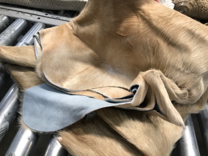 Photo 1 of FOX FUR 75 INCH LENGTH 66 WIDTH