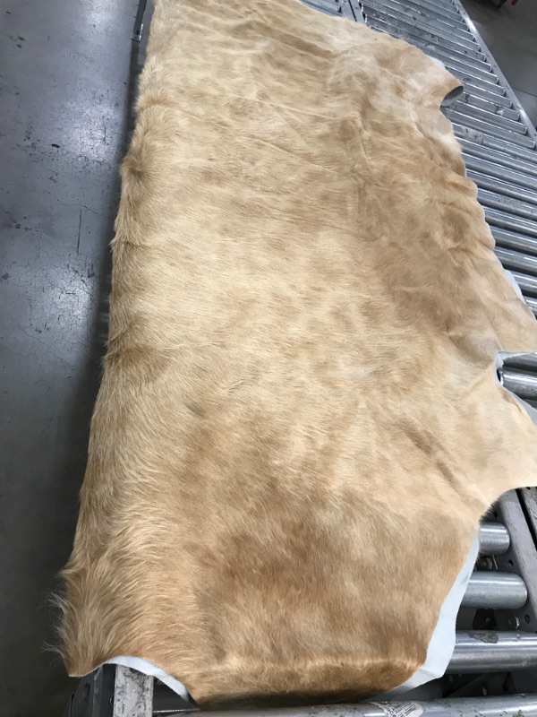 Photo 1 of FOX FUR 75 INCH LENGTH 66 WIDTH