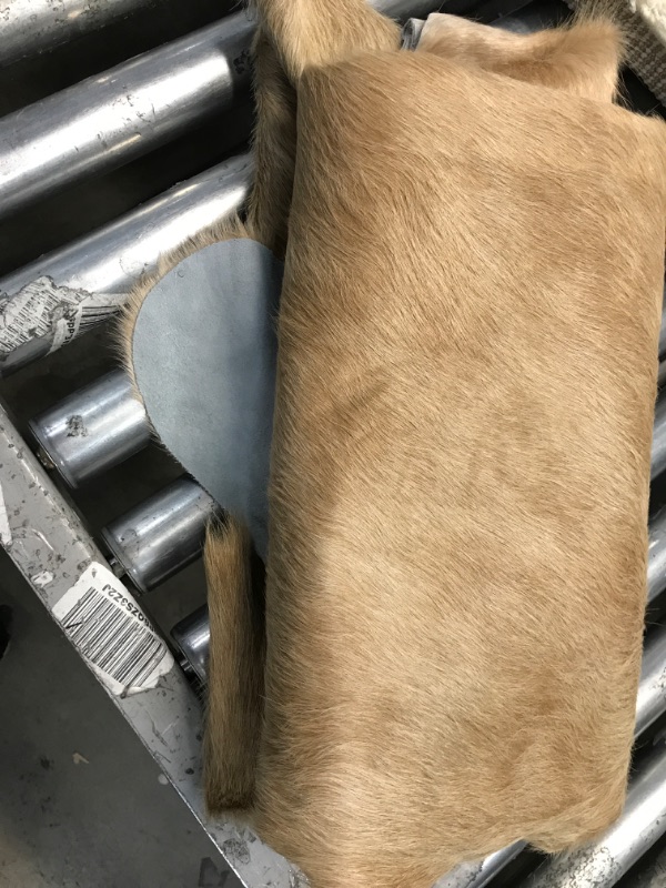 Photo 1 of FOX FUR 75 INCH LENGTH 66 WIDTH