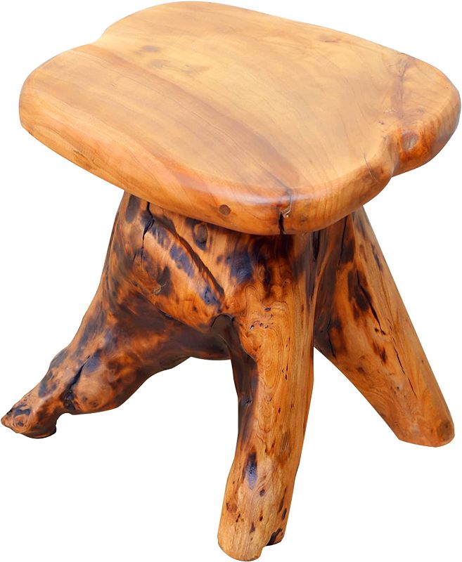 Photo 1 of  Natural Edge Cedar Wood Tree Stump Garden Stool End Table Indoor/Outdoor,Small Wooden Mushroom Side Table
