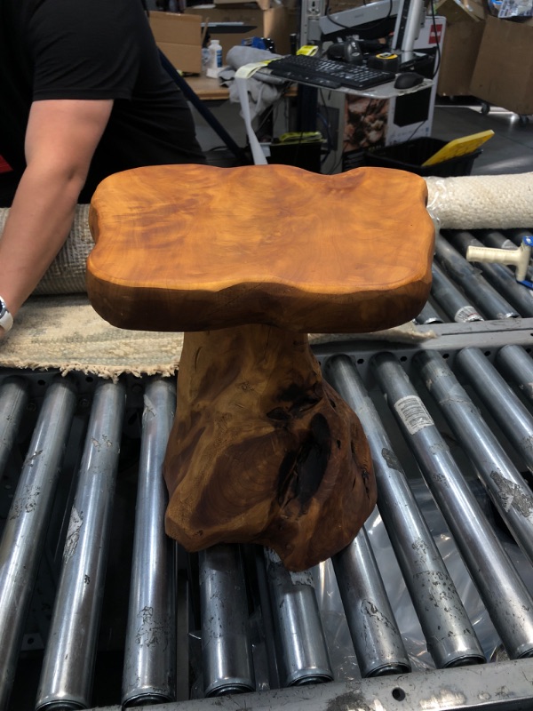 Photo 2 of  Natural Edge Cedar Wood Tree Stump Garden Stool End Table Indoor/Outdoor,Small Wooden Mushroom Side Table
