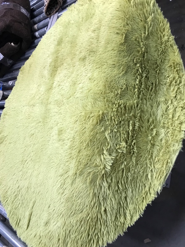Photo 1 of lime green circle carpet 4 by 4 feet