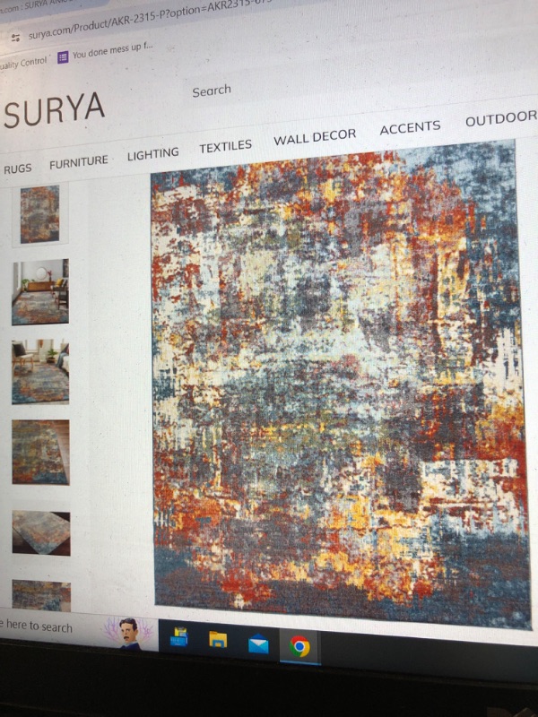 Photo 1 of *****STOCK IMAGE FOR SAMPE*****
SURYA ANKARA RUG, AKR-2315 6.5 Ft. x 9 Ft.