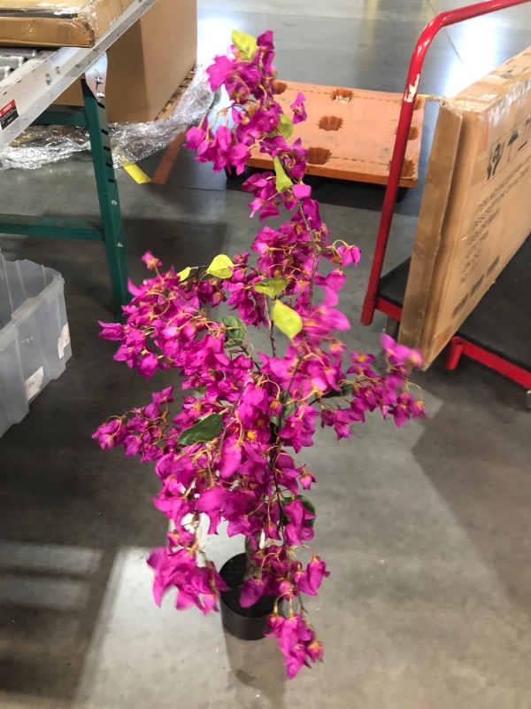 Photo 2 of [READ NOTES]
Nearly Natural 4ft. Bougainvillea Artificial Tree,Purple, 19 In. W x 9 In. D x 48 In. H 19 In. W x 9 In. D x 48 In. H Purple