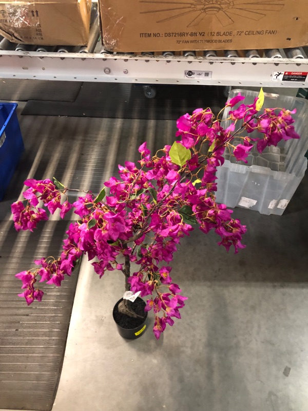 Photo 3 of [READ NOTES]
Nearly Natural 4ft. Bougainvillea Artificial Tree,Purple, 19 In. W x 9 In. D x 48 In. H 19 In. W x 9 In. D x 48 In. H Purple