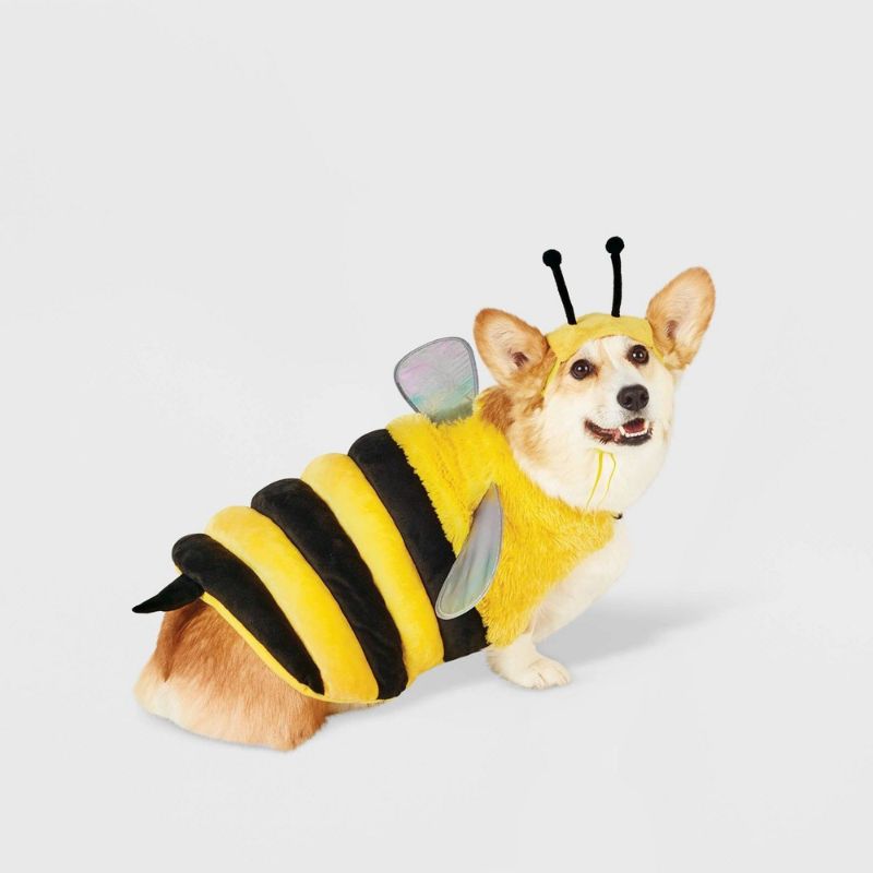 Photo 1 of ***ONE OF THE BEE ANTENNA HEAD PIECES IS MISSING***
Assorted Dog and Cat Costume Hyde & EEK! Medium Set of 2 Bee