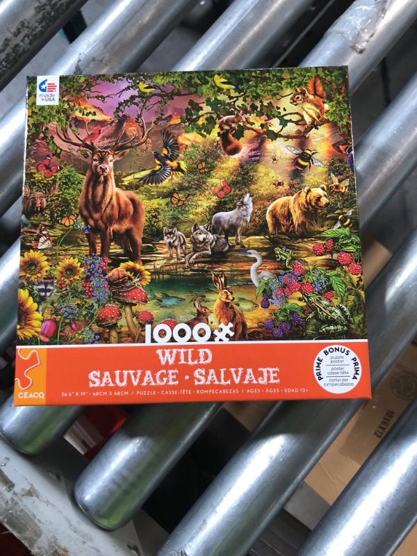 Photo 2 of Ceaco - Wild - Magic Forest - 1000 Piece Jigsaw Puzzle **LOOKS BRAND NEW**