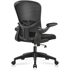 Photo 1 of FelixKing Office Desk Chairs, Ergonomic PC Desk Chair with Wheels, Adjustable Lumbar Support and Height, Swivel Computer Chair with Flip-up Armrests, Ergo Mesh Backrest for Working (Black)