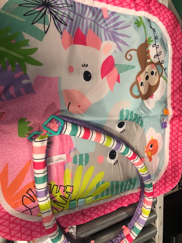 Photo 3 of Bright Starts Unicorn Crew Baby Activity Gym & Play Mat Pink