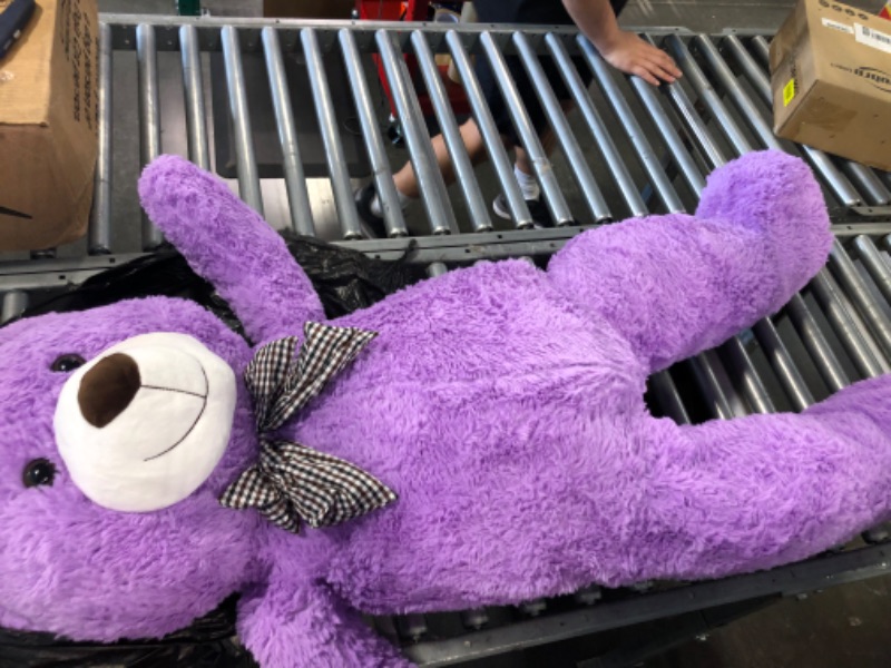 Photo 2 of Giant Purple Teddy Bear 