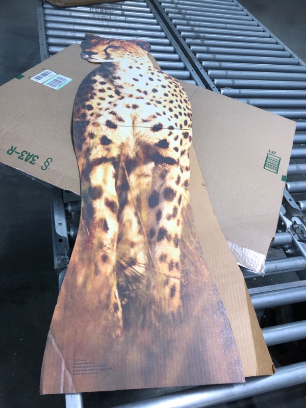 Photo 2 of 
Cardboard People Cheetah Life Size Cardboard Cutout StandupCardboard People Cheetah Life Size Cardboard Cutout Standup