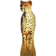 Photo 1 of 
Cardboard People Cheetah Life Size Cardboard Cutout StandupCardboard People Cheetah Life Size Cardboard Cutout Standup