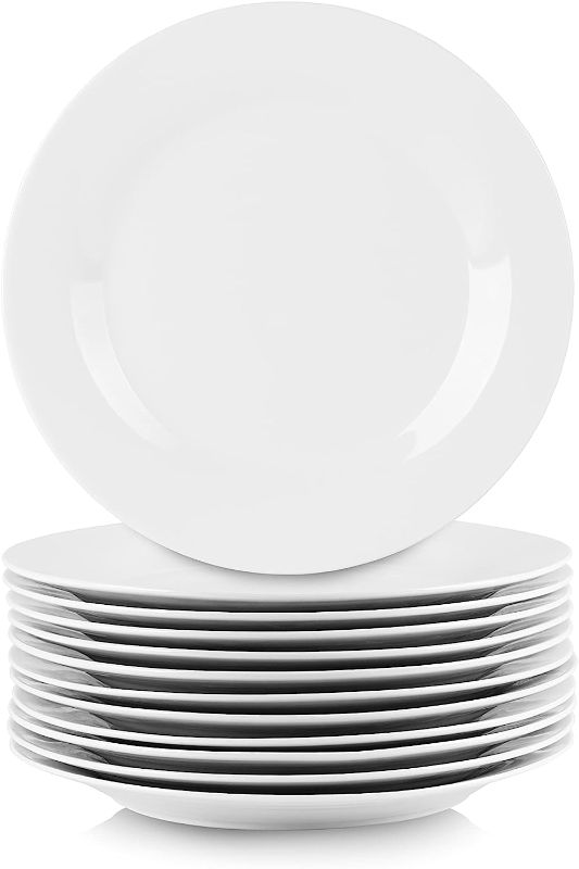 Photo 1 of 10 Strawberry Street 10.5" Catering Round Dinner Plate, Set of 12
