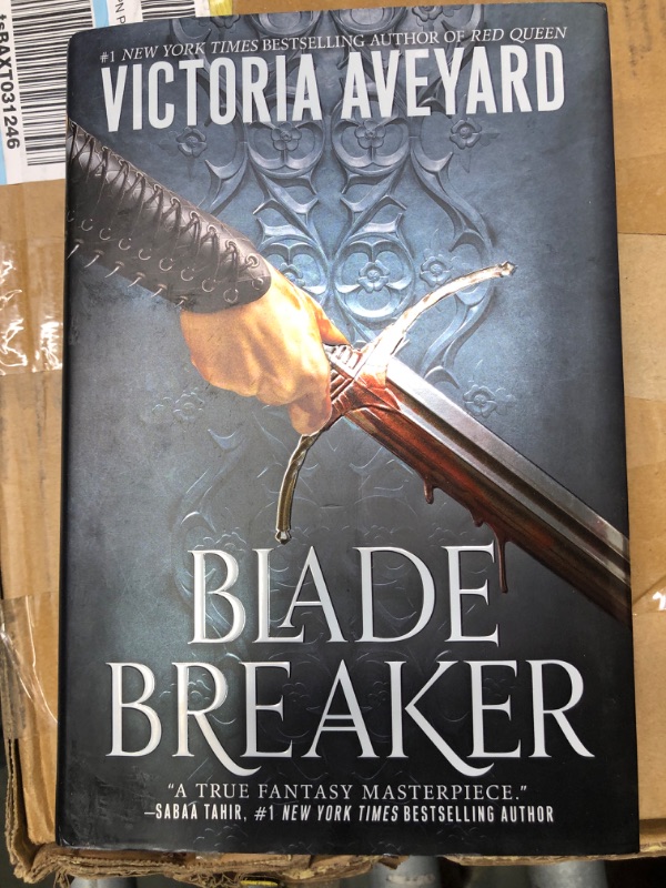 Photo 2 of Blade Breaker: Realm Breaker, Book 2