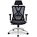 Photo 1 of Ticova Ergonomic Office Chair - High Back Desk Chair with Adjustable Lumbar Support, Headrest & 3D Metal Armrest - 130°Rocking Mesh Computer Chair
