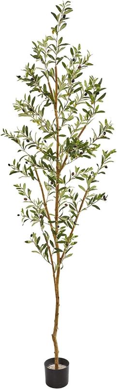 Photo 1 of 
Nearly Natural 82” Olive Artificial Silk Trees Green