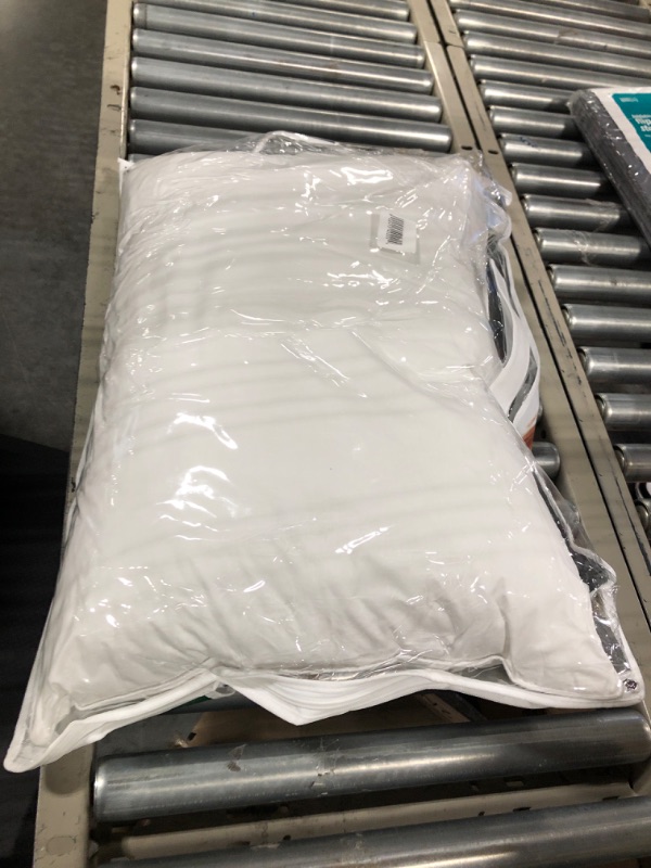 Photo 3 of Allerease Cotton Fresh Allergen Barrier Medium Density Pillow