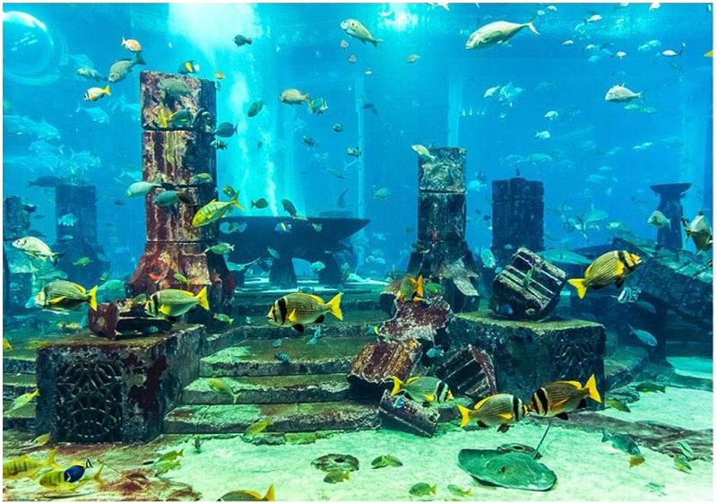 Photo 1 of Aquarium Poster, Underwater City Ruins Background Sticker Thicken PVC Adhesive Backdrop Fish Tank Decorative Paper