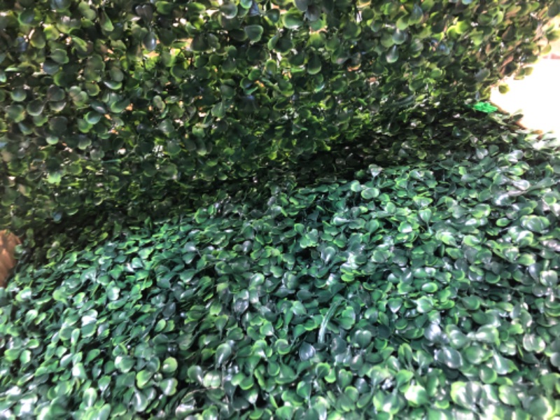 Photo 3 of Artificial Boxwood Panels,12Pcs 20" x 20" Grass Wall Panels, Artificial Boxwood Hedges Panels, UV Protection Privacy Hedge Screen, for Gardens, Fences, backyards Privacy Screen and Indoor Wall Decor 20"*20"-12PCS