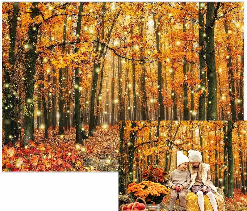 Photo 1 of Allenjoy 7x5ft Fall Forest Scenery Photography Backdrop Golden Spot Autumn Natural Landscape Path Background Thanksgiving Maple Leaves Baby Shower Birthday Party Supplies Decor Banner Photo Booth Prop
