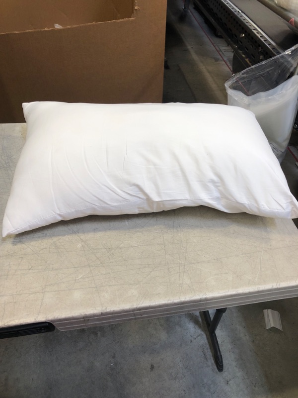 Photo 1 of 16"x26" white pillow