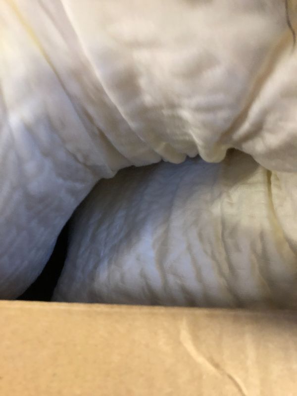 Photo 1 of GENERIC WHITE BODY PILLOW 