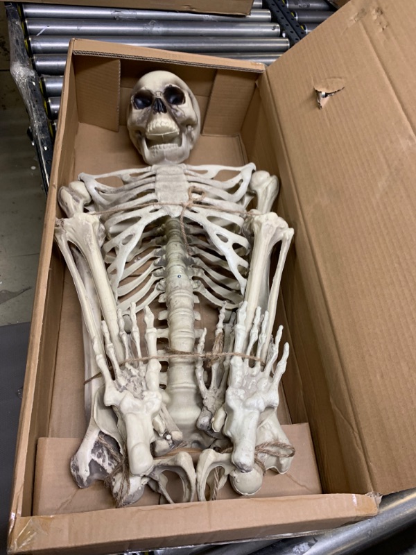 Photo 3 of DECORLIFE Life Size Skeleton, 5FT Skeleton Halloween Decorations, Posable Prop for Yard, Haunted House, Trunk or Treat, Holiday Outdoor Decor --- Box Packaging Damaged, Item is New
