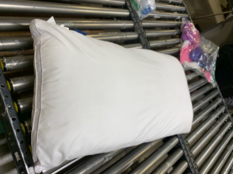 Photo 1 of 24" x 34" White Pillow Insert --- No Box Packaging, Minor Use, Item is Dirty From Previous Use
