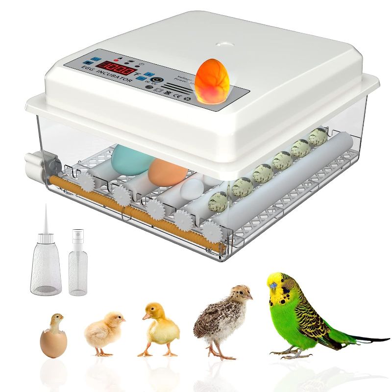 Photo 1 of Hethya Incubators for Hatching Eggs Fahrenheit 12-16 Eggs Incubator with Automatic Egg Turning and Egg Candler Incubator for Chicken Quail Duck Pigeon Eggs Poultry Incubators
