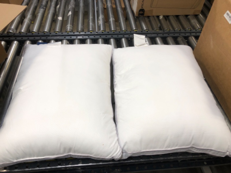 Photo 1 of 2pack of white pillows