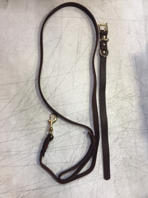 Photo 1 of 6FT LEASH AND COLLAR - BROWN LEATHER GOLD BUCKLE
