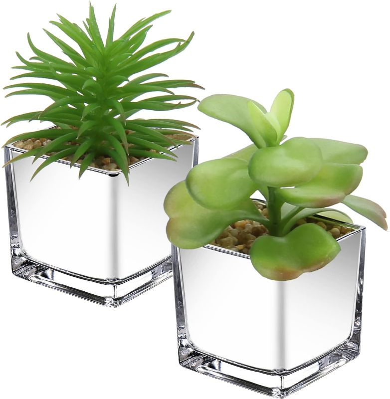 Photo 1 of  Small Artificial Succulents in Pots Set of 2 Mini Faux Succulent Plants with Silver Pots Cute Fake Plant Indoor Decor for Home Table Desk Office Bathroom Shelf