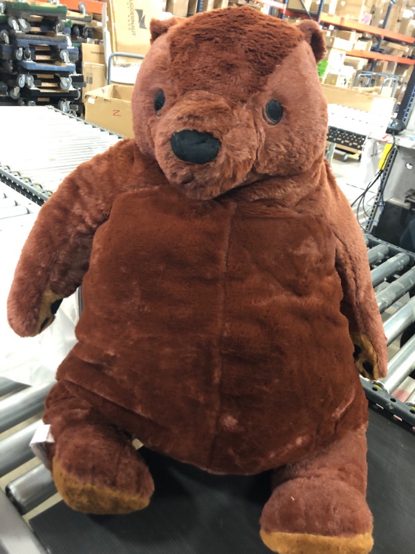 Photo 1 of iBccly Plush Pillow (B)