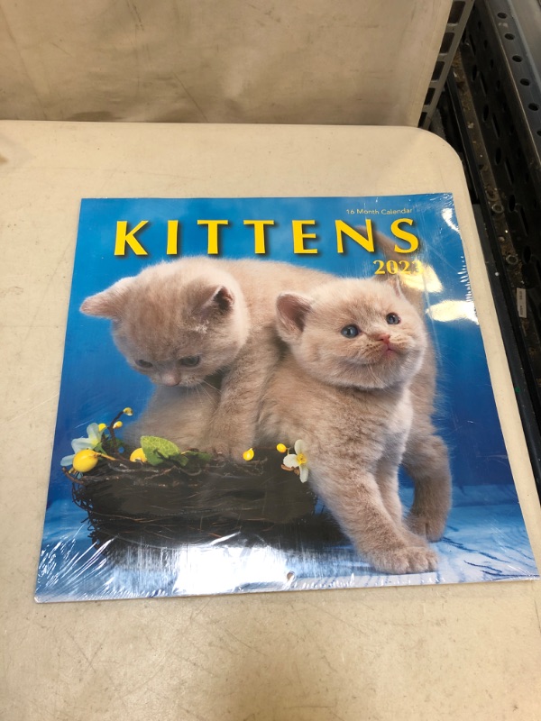 Photo 2 of Kittens 2023 Hangable Wall Calendar - 12" x 24" Open - Cute Kitty Cat Photo Gift - Sturdy Thick Beautiful Kitten Photography - Large Full Page 16 Months for Organizing & Planning - Includes 2022
FACTORY SEALED