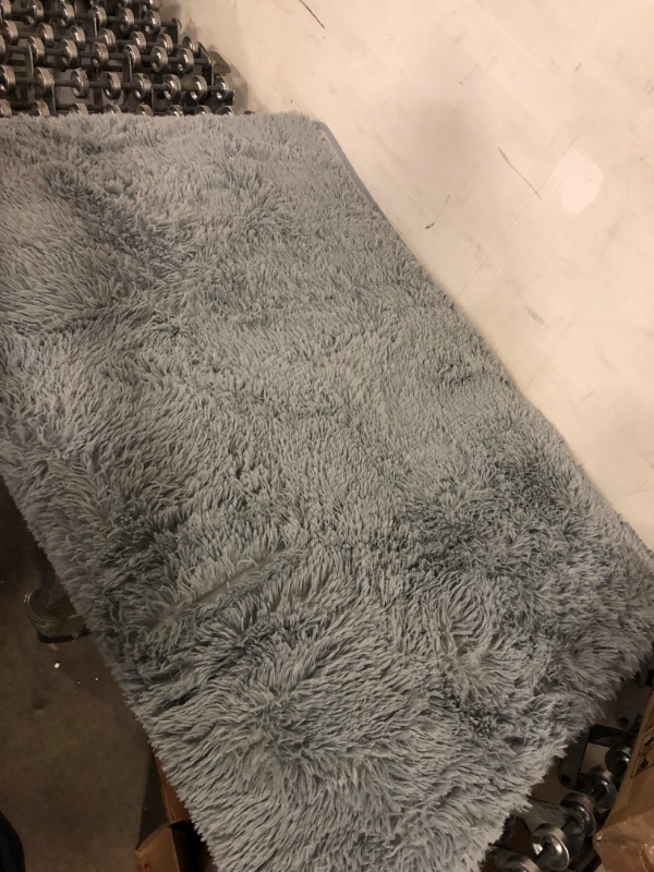 Photo 1 of 4 ft x 6 ft AREA RUG GREY