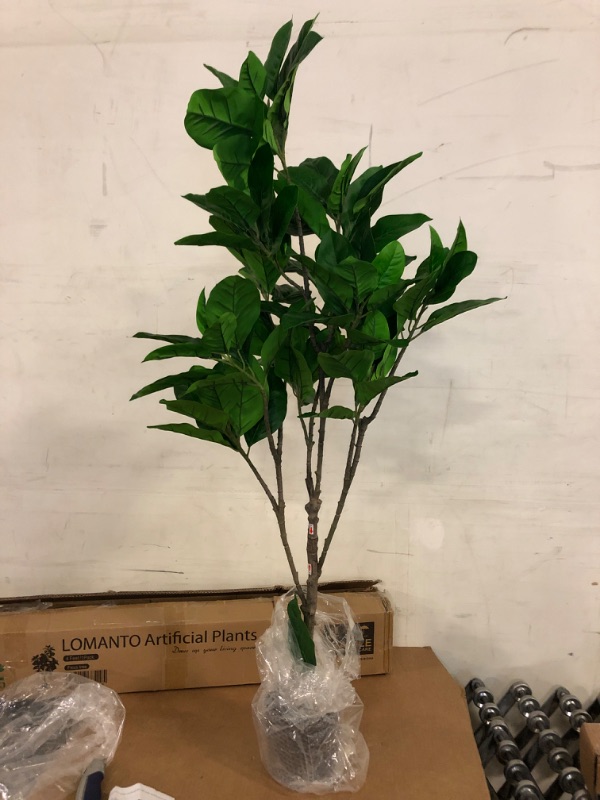 Photo 2 of Amazon Brand - Stone & Beam Artificial Fiddle Leaf Fig Tree with Plastic Nursery Pot, 4. Feet  / Medium, Indoor