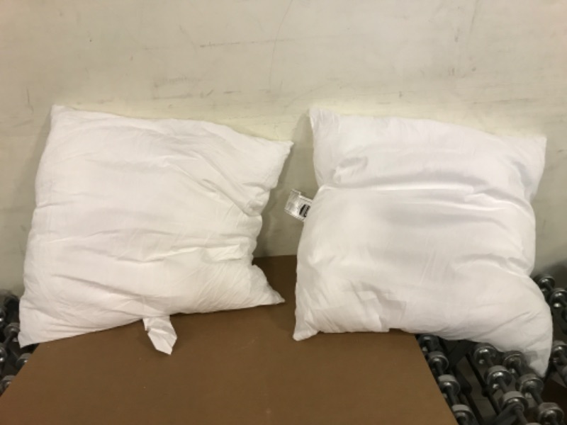 Photo 1 of 2 pillows 24 x 24 utopia 