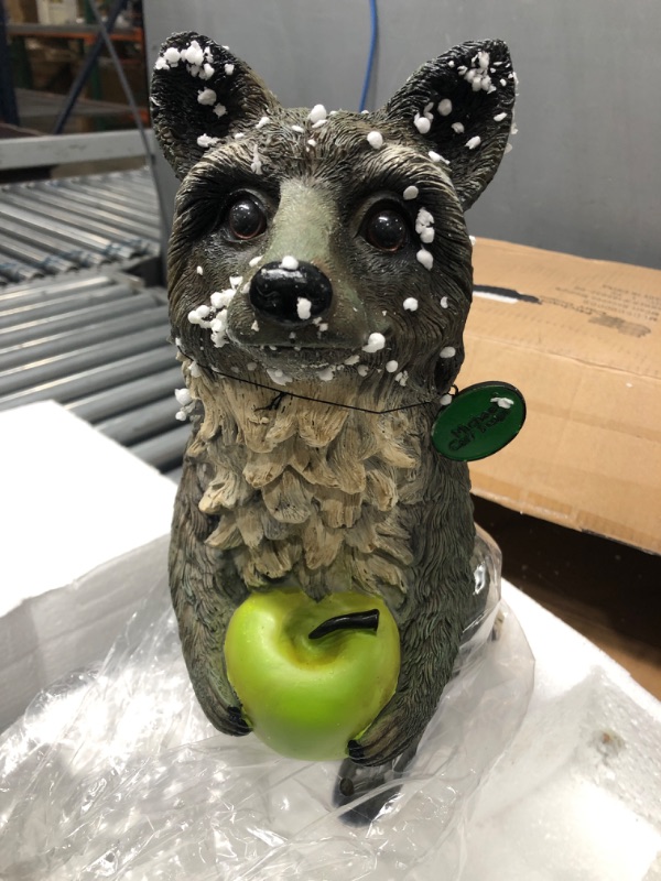 Photo 3 of *Broken Foot* Raccoon S Gray/White Statue by Michael Carr Designs - Outdoor Raccoon Figurine for gardens, patios and lawns (508006C)
