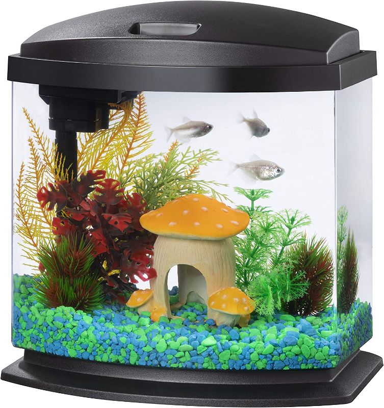 Photo 1 of  USED. Aqueon LED MiniBow Small Aquarium Fish Tank Kit with SmartClean Technology, Black, 2.5 Gallon

