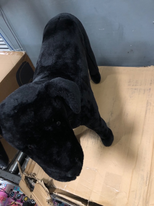 Photo 1 of Black Lab Standing Toy 