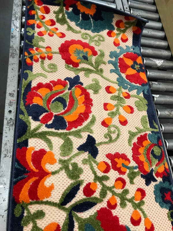 Photo 1 of 6'x2' Floral Area Rug