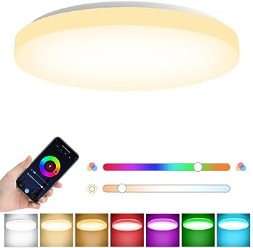 Photo 1 of MikeWin Smart Ceiling Light Fixture 12Inch - 24W Smart Led Ceiling Light Ultra Thin Color Changing RGB Ceiling Light - app Control 2400lm 3000K-6500K Dimmable - Compatible with Alexa
