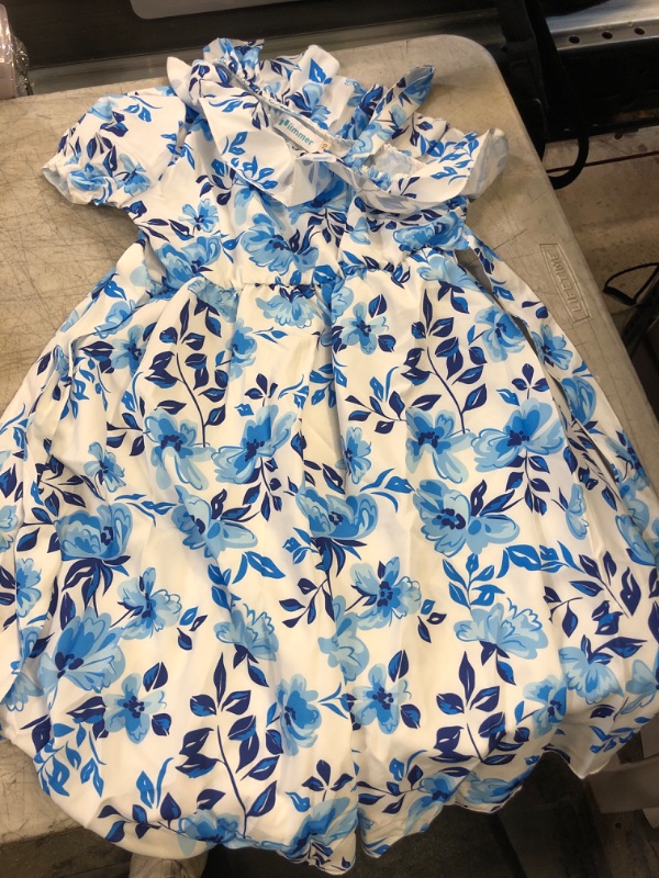 Photo 1 of girls blue floral dress- blue/white
size-120