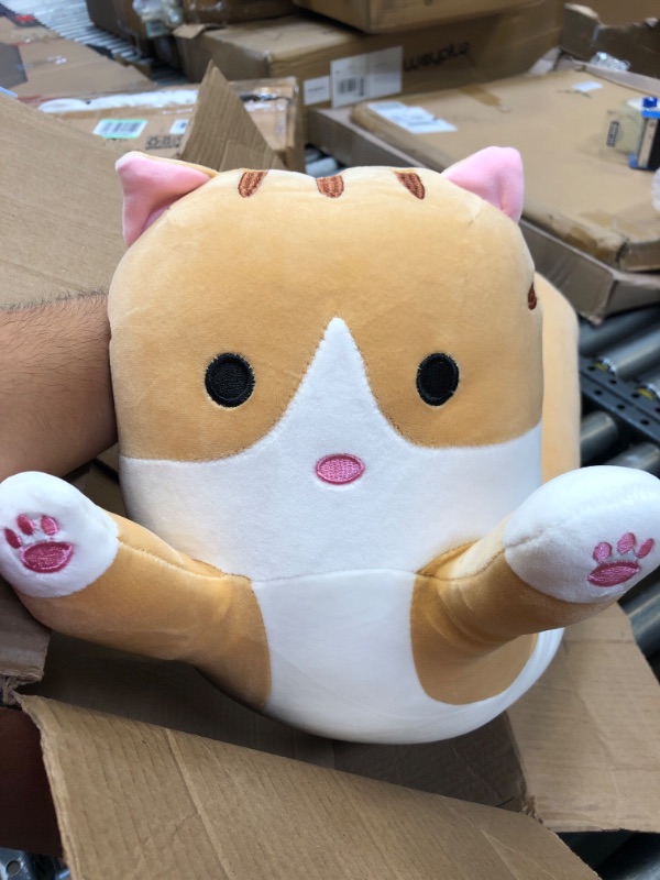 Photo 4 of Cute Plush Cat Doll Soft Stuffed Small Cat Pillow Doll Toy Gift for Kids Girlfriend
