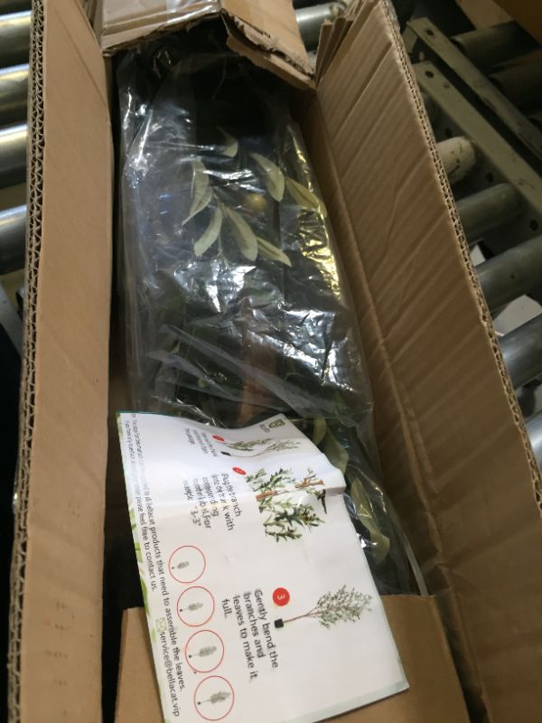 Photo 1 of Bellacat Faux Olive Tree 7ft?Olive Trees Artificial Indoor with Natural Wood Trunk and Realistic Leaves and Fruits. 7 Feet(84in) Fake Olive Tree for Home House Office Décor. 1 7ft-1pack