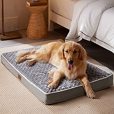 Photo 1 of  Dogs Bed for small Dogs with Egg Foam Crate Pet